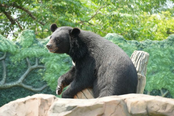 Maximisez vos revenus avec la gestion locative