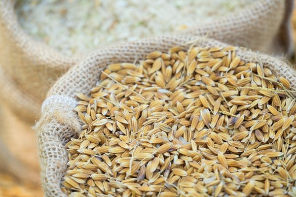 Les meilleurs sacs rains pour les cyclistes urbains